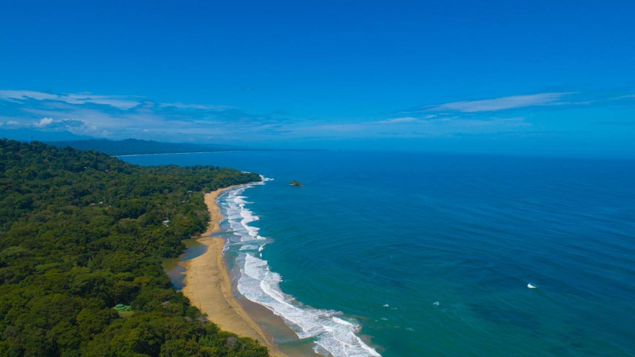 Gigi Brown Villa Paparazzi Beachfront Puerto Viejo de Talamanca Exterior foto